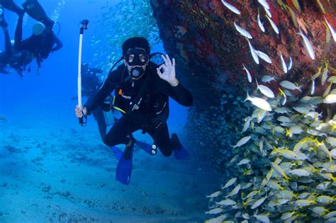 best dive shops in indonesia